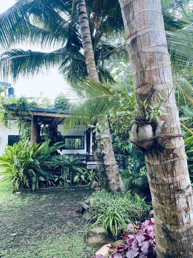 Nature Villa Unawatuna Galketiya Dış mekan fotoğraf