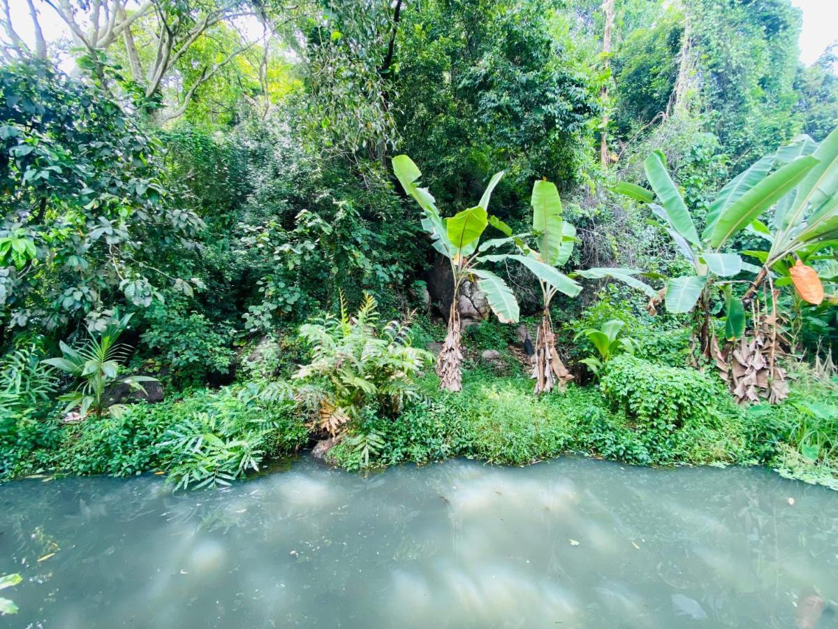 Nature Villa Unawatuna Galketiya Dış mekan fotoğraf