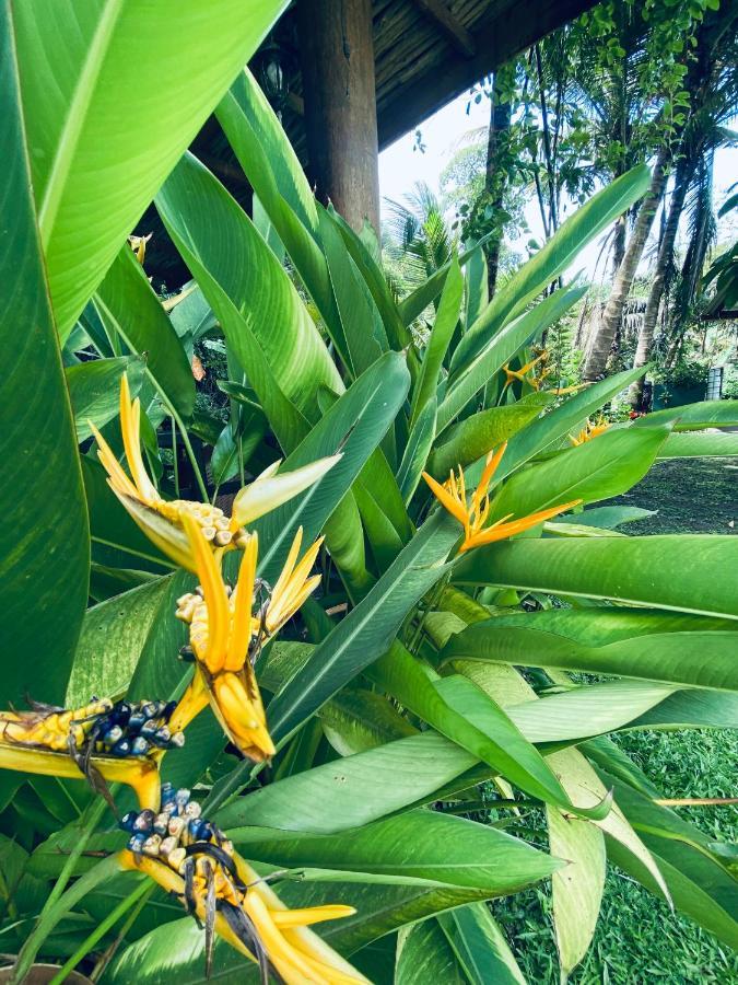 Nature Villa Unawatuna Galketiya Dış mekan fotoğraf